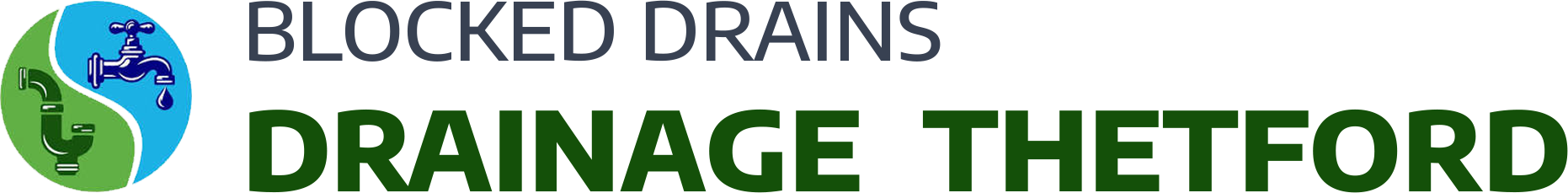 website logo